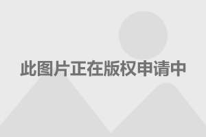 海洋公园农历新年2024-2024海洋公园农历新年狂欢，探寻海底世界的红金奇遇