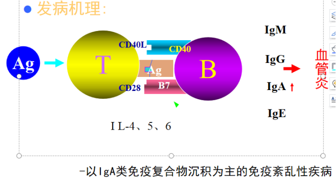 原因风暴部落停运怎么办_部落风暴停运原因_原因风暴部落停运了吗