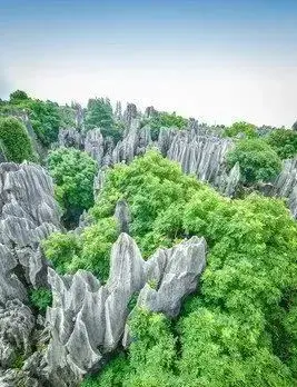 热血传奇真龙装备_传奇装备真龙怎么打_传奇真龙装备