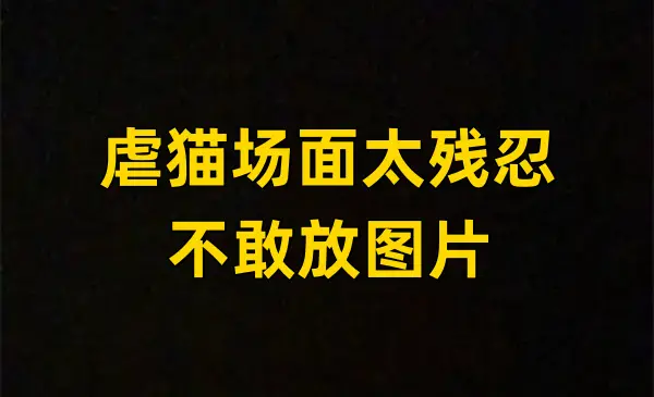 虐猫狂人薛定谔 b站_知乎薛定谔的猫_薛定谔的猫啊