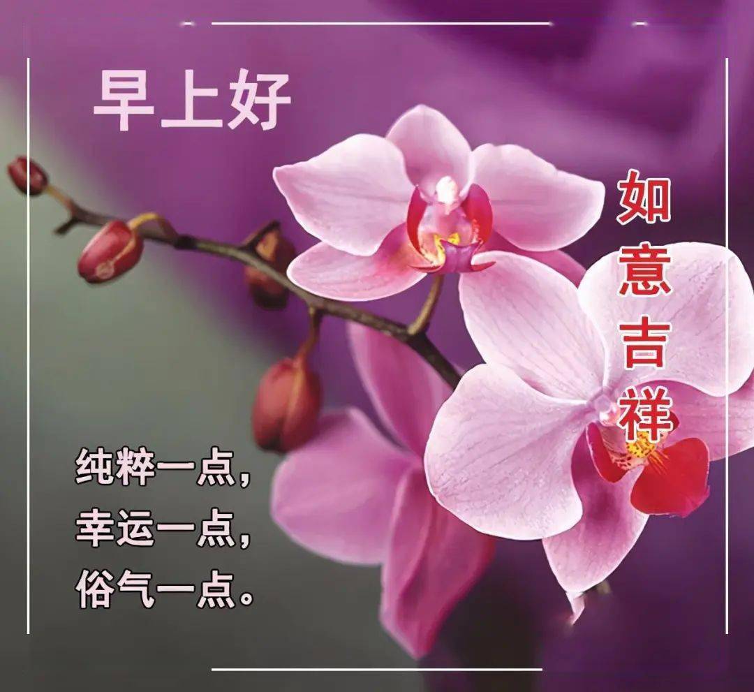 狗年祝福语带旺字_狗年的吉祥的祝福语_狗年吉祥话祝福语