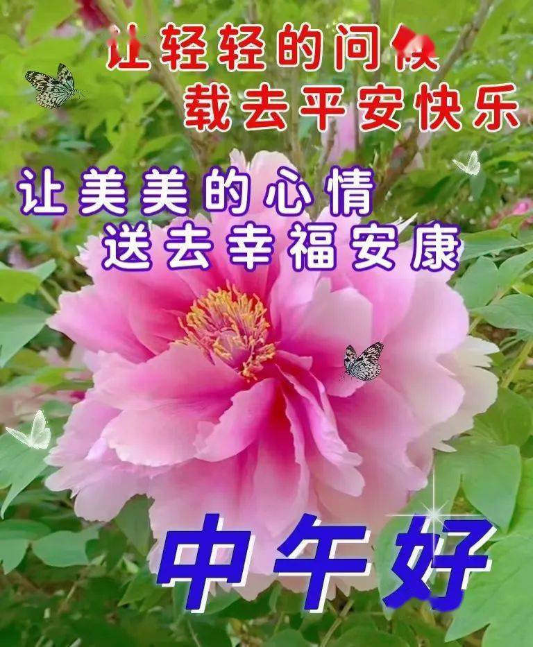 狗年吉祥话祝福语_狗年的吉祥的祝福语_狗年祝福语带旺字