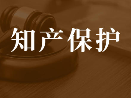 保护者中文版：文化与责任的深度融合，体验守护的力量与智慧