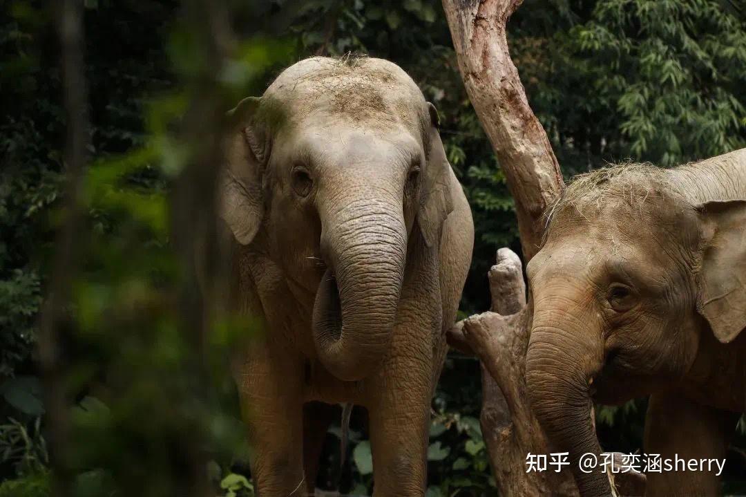 梦三国2福利钥匙没宝箱_梦三国战友宝箱钥匙_梦三国暑期狂欢宝箱