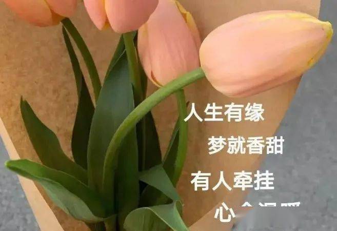 幸遇清明节,欣逢旧练人_幸遇清明节,欣逢旧练人_松下优也西井幸人