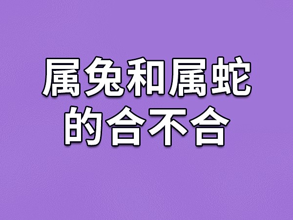 属相马与蛇事业配对_属马和属蛇事业搭档_属马蛇相配吗