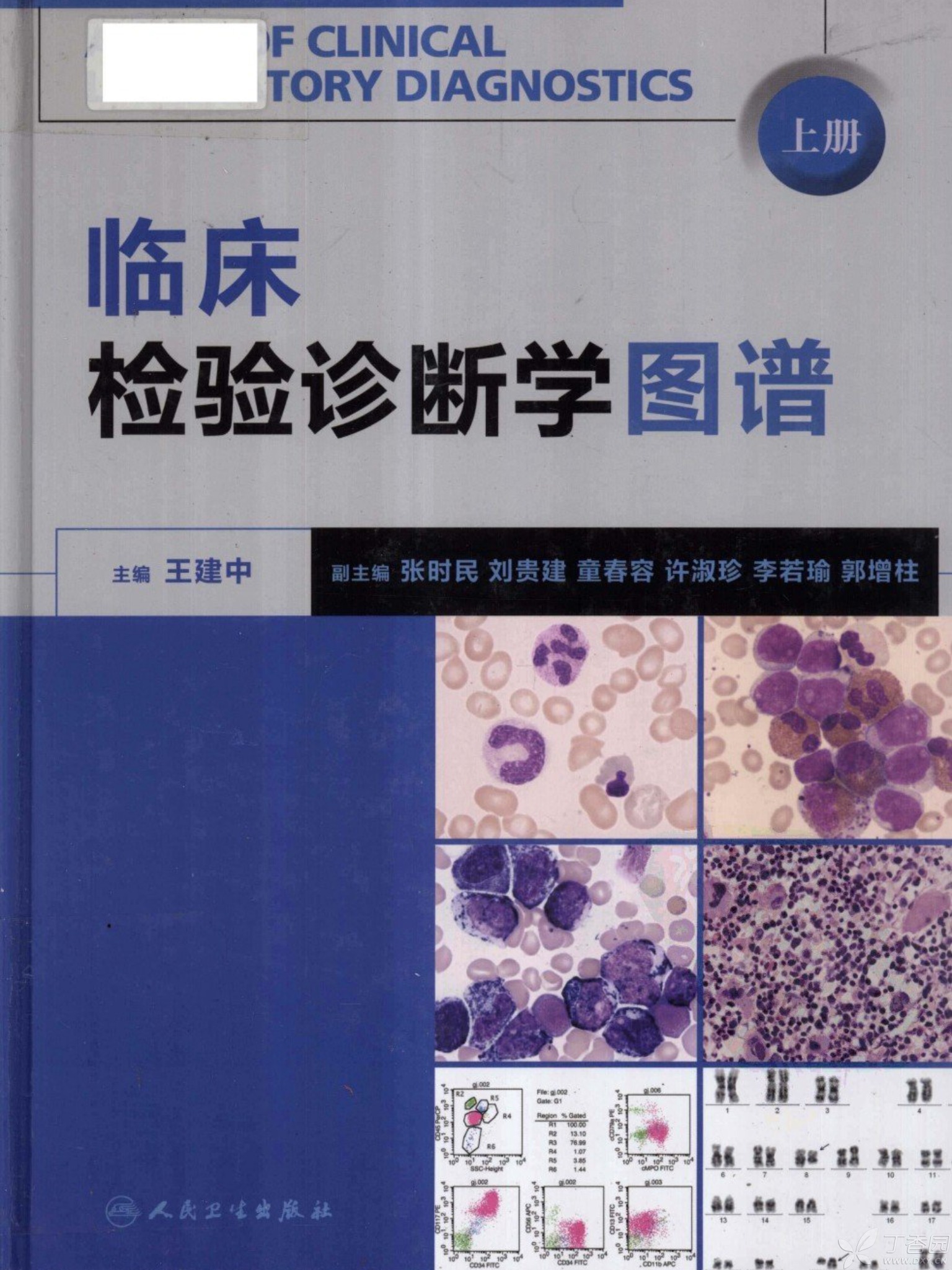 诊断学电子版百度云_诊断学电子版下载_诊断学第八版pdf下载