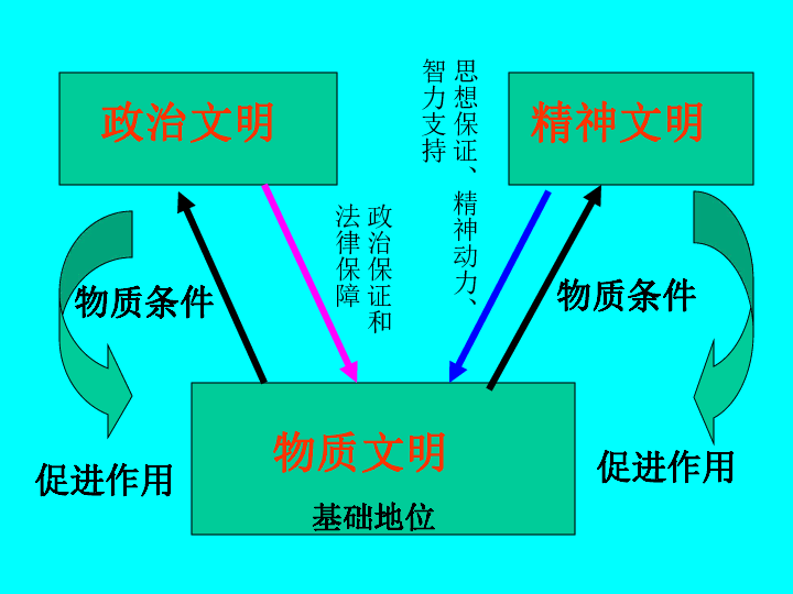 美女真空凸点视频：挑战审美与道德的边缘，引发社会争议