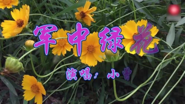 军中绿花小曾演唱会_小曾军中绿花酷狗_军中绿花歌曲小曾酷我