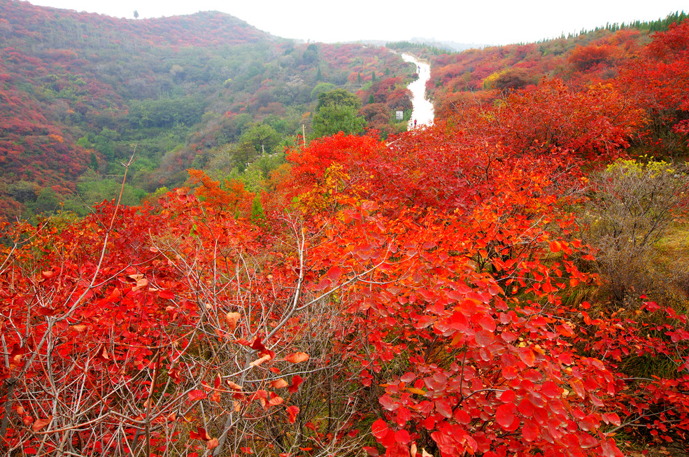 德庆盘龙峡景区门票价格_寿山景点_长寿山风景区门票价格