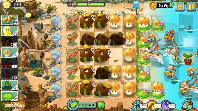 pvz2沙滩无尽_植物大战僵尸沙滩无尽阵平民_植物大战僵尸2沙滩无尽