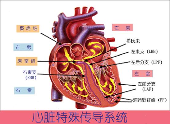 停止医院缩写_医院停诊时间_停止时间的魔表2医院